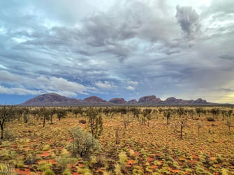 146-Australia.jpg