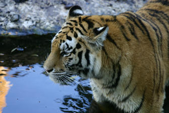 IMG_1759.JPG
