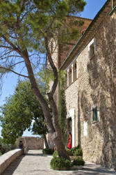 127 Hiking from Deia.jpg
